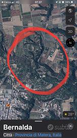 Terreni agricoli e uliveti