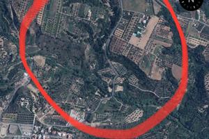 Terreni agricoli e uliveti