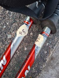 bastoncini trekking.