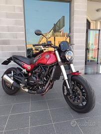 BENELLI LEONCINO 500