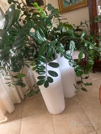 Piante di  Zamioculcas (con vaso h85)pz.2
