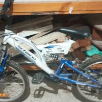 Mountain bike 20