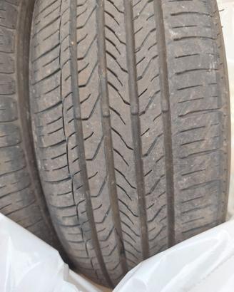 4 Gomme estive
