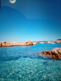 Appartamento a Riccione