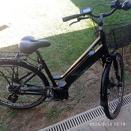 Bici elettrica