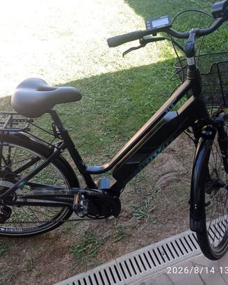 Bici elettrica