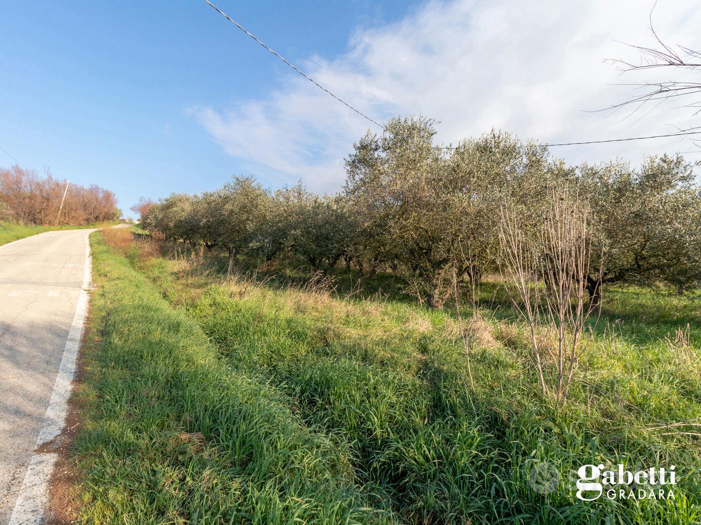 Terreno Agricolo San Giovanni in Marignano - Vista 2