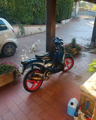 Aprilia Scarabeo 