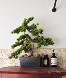 bonsai artificiale realistico + decorazioni