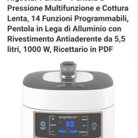 Pentola a pressione Aigostar 