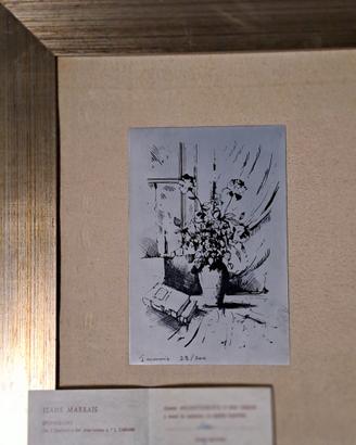 Quadro argetografia.