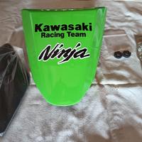 monoposto Kawasaki ZX10r 2010