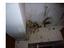 Immagine 15