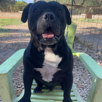 Una famiglia per Piccolo Gio