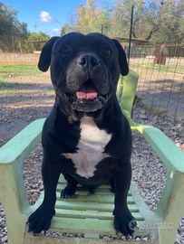 Una famiglia per Piccolo Gio