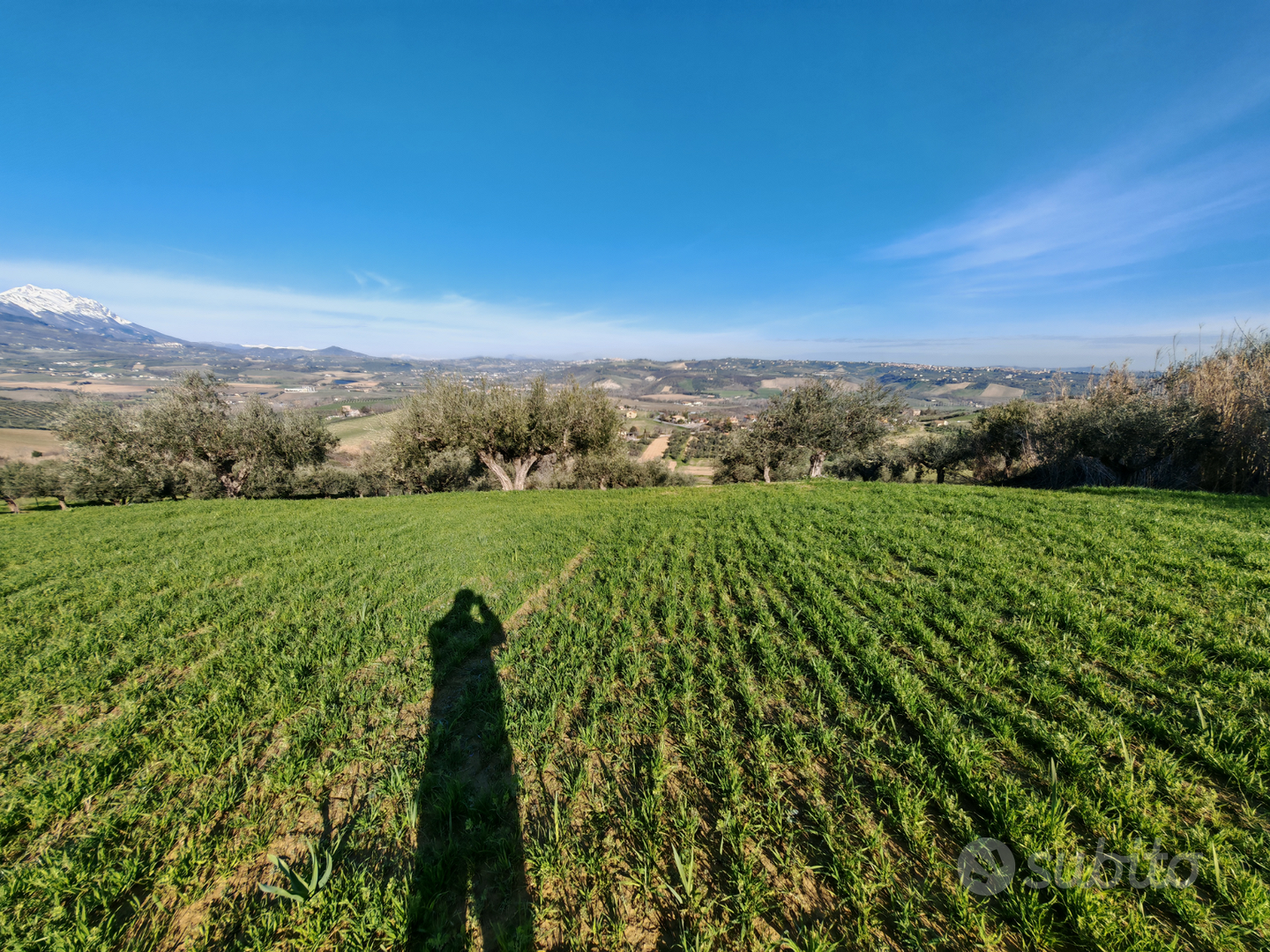 Terreno edificabile e agricolo - Vista 2