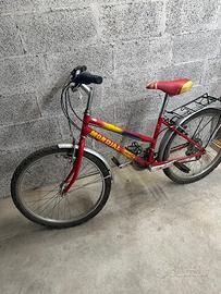 Bicicletta mountain bike
