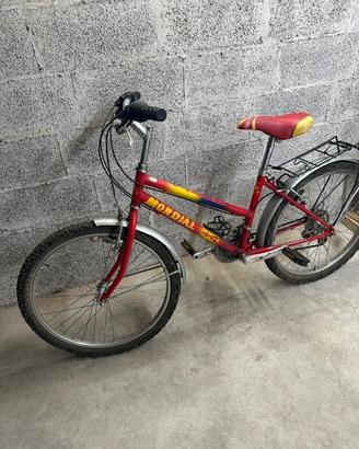 Bicicletta mountain bike