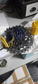 Pacco Pignoni Miche Primato 10v 13-29