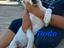 Immagine 2