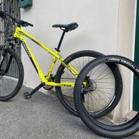 MTB e copertoni