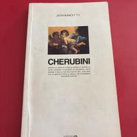 Libro Jovanotti Cherubini 1993 vintage