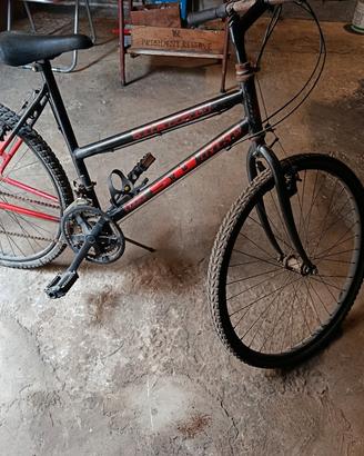 Mountain bike 