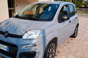 FIAT Panda 1.2 con soli 36000