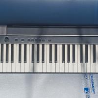 tastiera Casio cdp 100