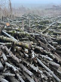 Legna da ardere  pero