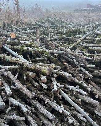 Legna da ardere  pero