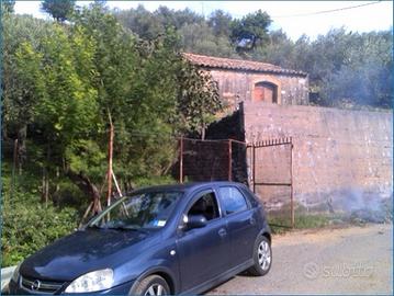 Terreno a terrazze con palmento