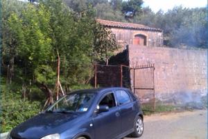 Terreno a terrazze con palmento