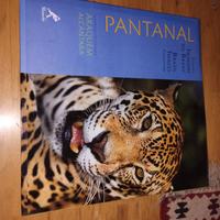 Pantanal - immagini Brasile