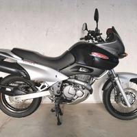 Suzuki XF Freewind 650 iscritta FMI