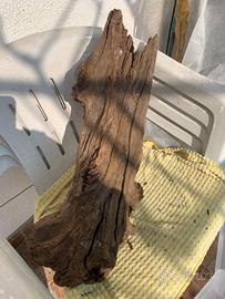 RADICE     DRIFT WOOD  x acquario