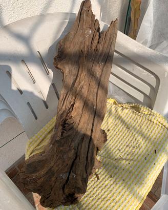 RADICE     DRIFT WOOD  x acquario