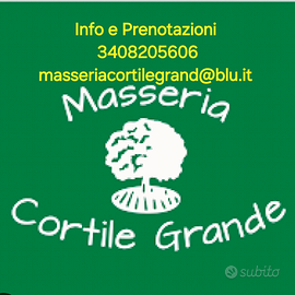 Agriturismo x feste eventi