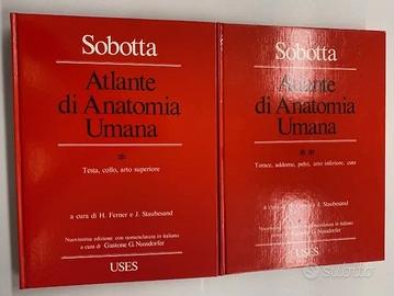 Atlante di anatomia umana Sobotta 2 volumi Uses
