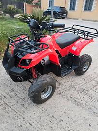 Mini Quad Elettrico per Bambini 1000W 48V/36V