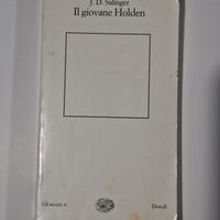 Libro il Giovane Holden