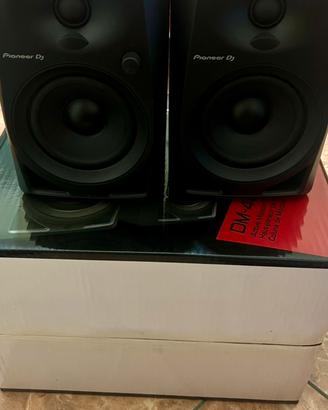 Casse Pioneer DM40