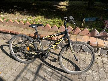 bici da passeggio