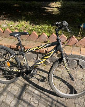 bici da passeggio