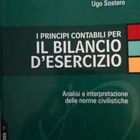 i principi contabili per il bilancio d'esercizio