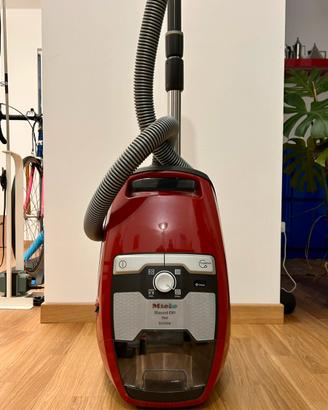 Miele Blizzard CX1 EcoLine Senza Sacco