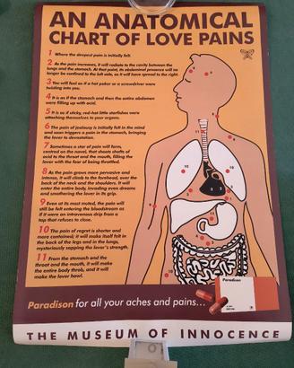 Poster An Anatomical Chart of Love Pains Pamuk