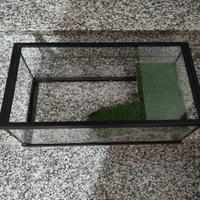 acquario tartarughe d'acqua 