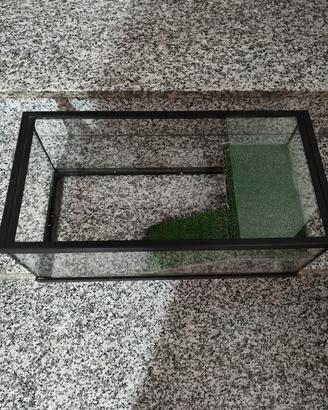 acquario tartarughe d'acqua 