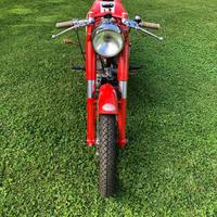 Aermacchi H.D. Ala Verde 5 marce 1966